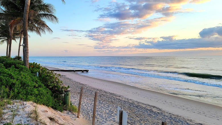 A sandy beach at sunset with palm trees on the shore near Vero Beach, Florida in Indian River County