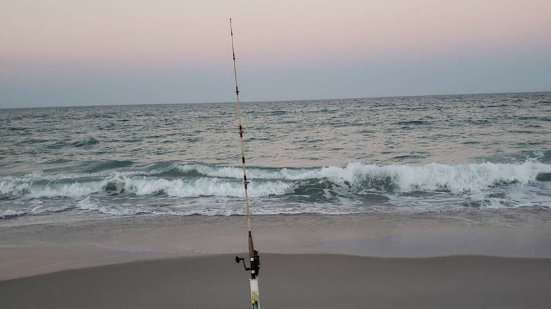 A fishing pole lodged in the sand on the beach at Juan Ponce de León Landing