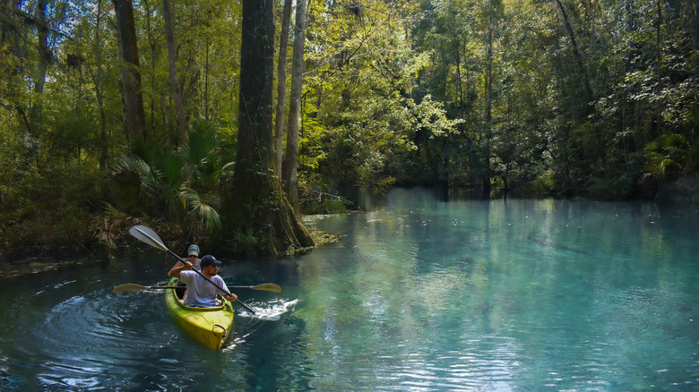 Kayakers paddling the spring within Silver Springs State Park.
