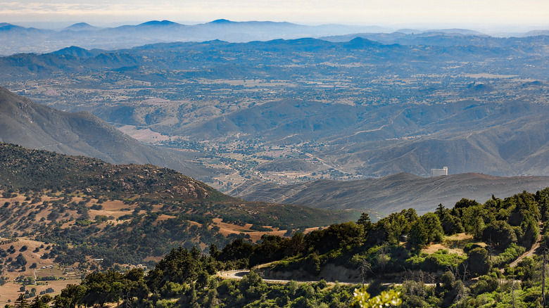 Palomar Mountain in fog extending through San Diego county