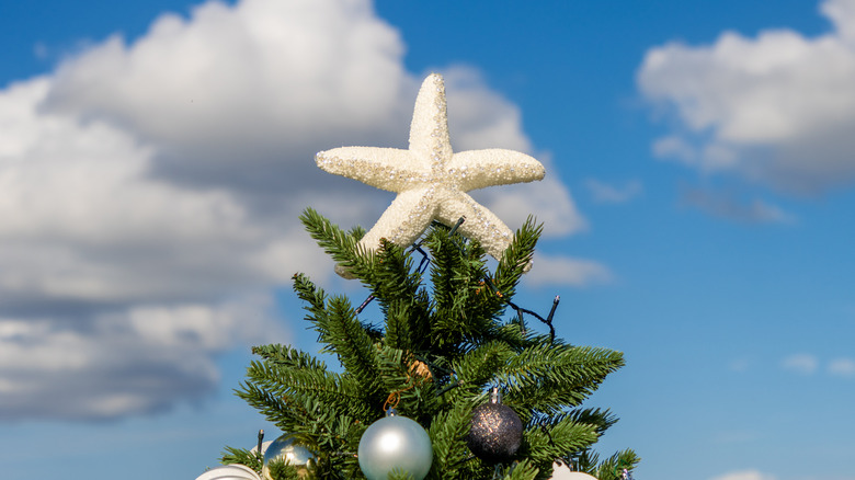 Close-up of starfish topping a Christmas tree with a blue sky and clouds in the background