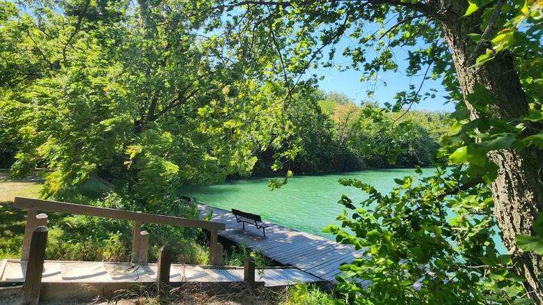 A boardwalk and bench along the tree-lined water's edge at Silver Springs State Fish and Wildlife Area in northern Illinois