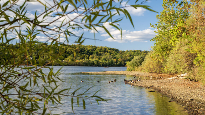 Peace Valley Park in Pennsylvania