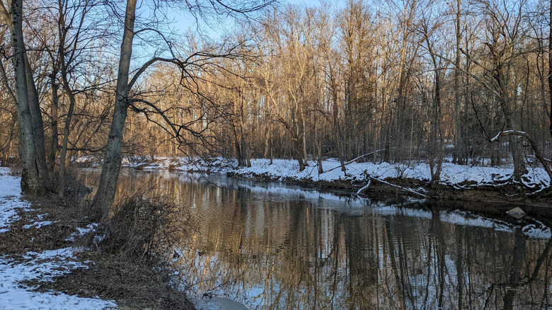 View of the Unami Creek flowing through Fernbrook Park in Pennsylvania