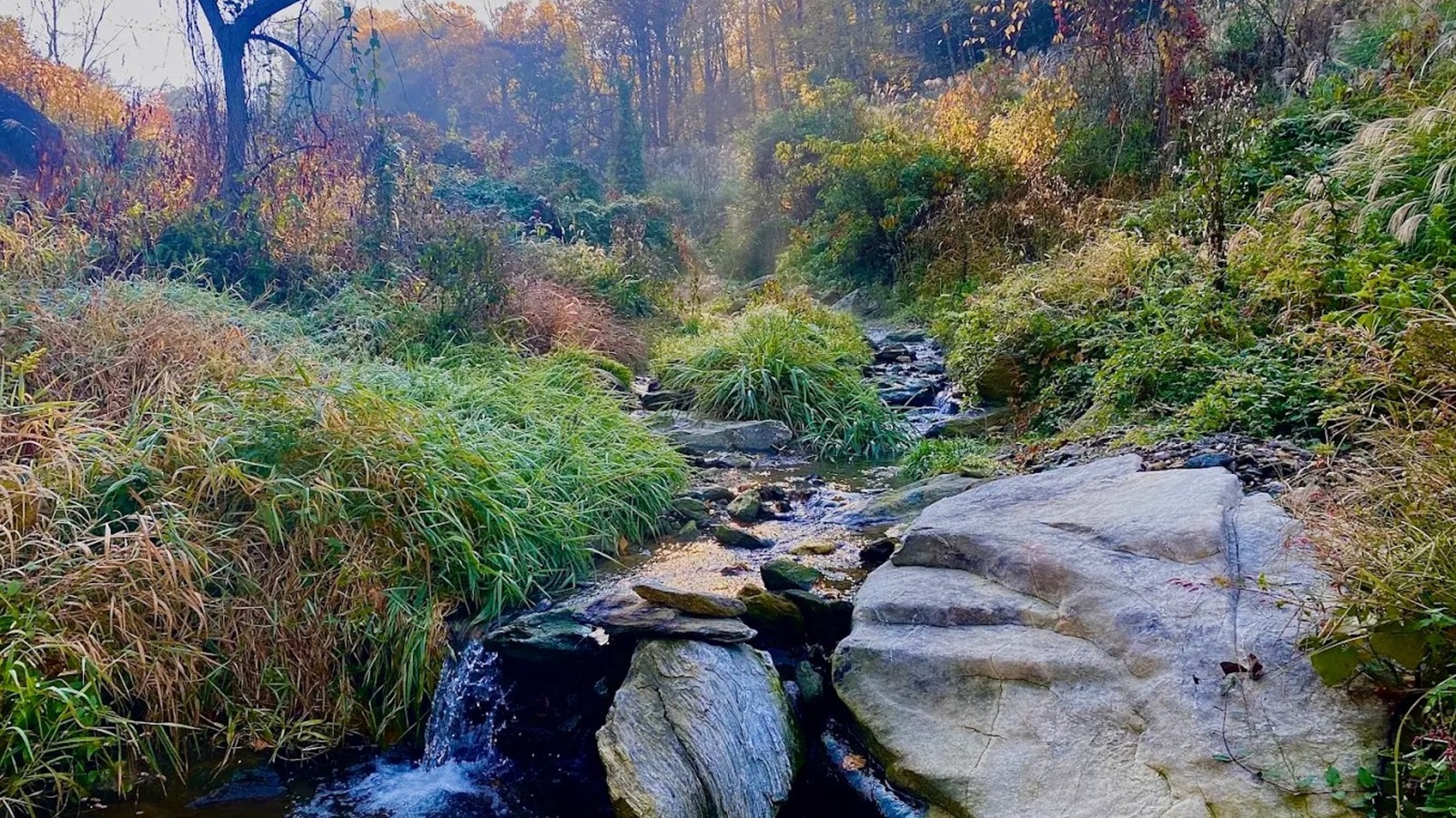 Between Philly And Baltimore Is Pennsylvania's Underrated Nature Retreat With Enchanting Woodland Trails