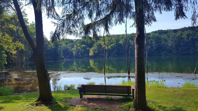 A perfectly positioned bench overlooking Grubb Lake in West Hempfield Township, Pennsylvania