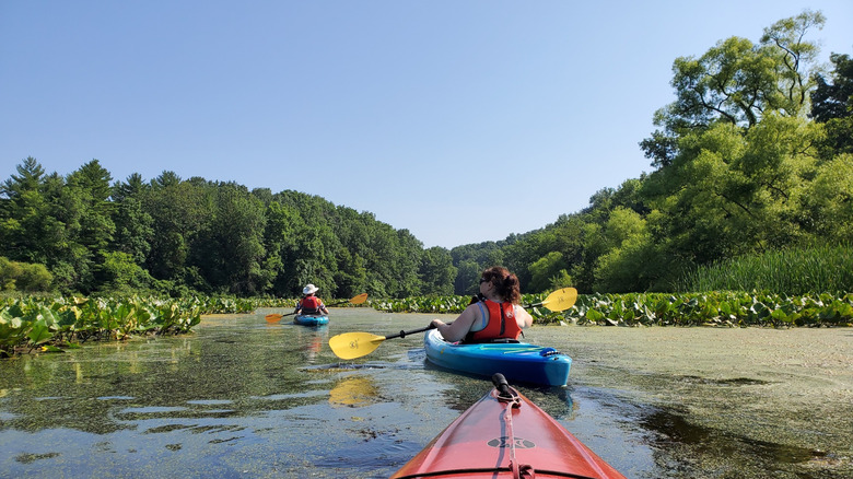 Two people in blue kayaks paddling through a wetland creek at Pinchot State Park near Lewisberry, PA