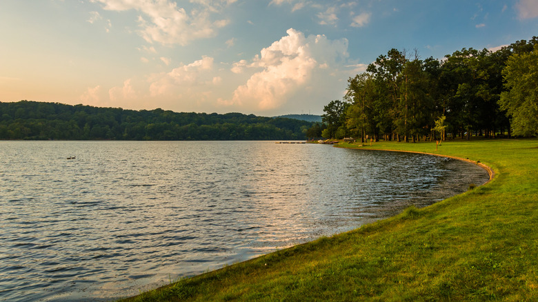 Lake Pinchot, with a grassy bank along the right and trees in the background