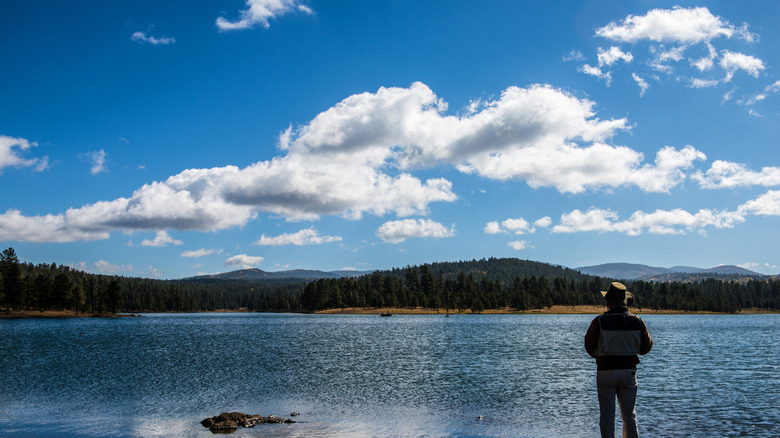 Fishing at Hawley Lake, Arizona