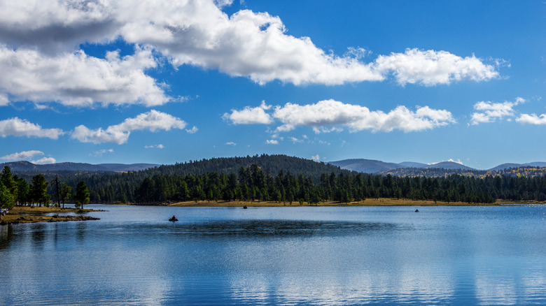 Hawley Lake, Arizona