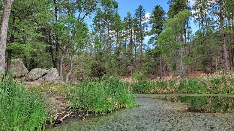 Horsethief Lake in Horsthief Basin Recreation Area in Arizona's Prescott National Forest