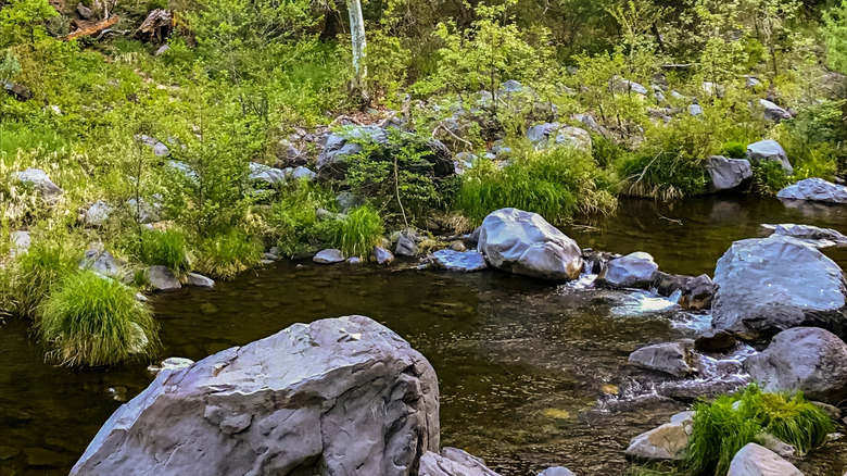 An outdoor scene at Arizona's ﻿Clear Creek Day Use Area
