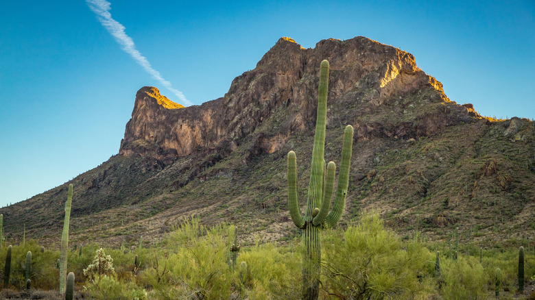 View of Picacho Peak in Picacho Peak State Park