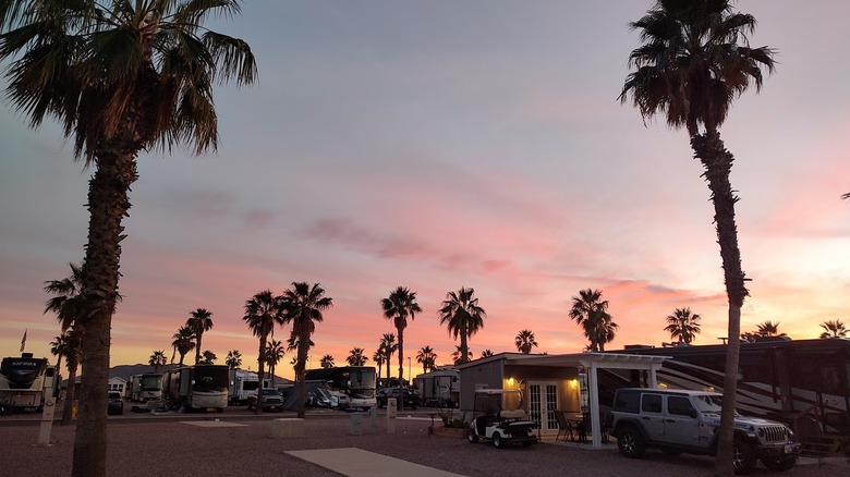 View of RVs parked at Palm Creek RV resort, Arizona at sunset