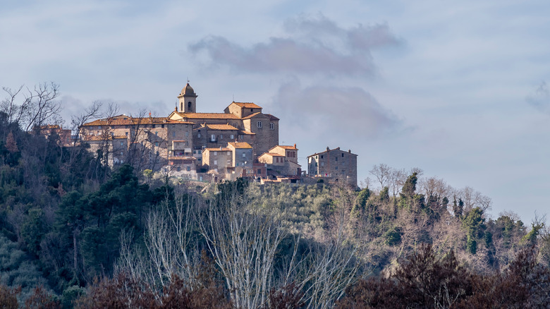 A rustic Italian village sits on a wooded mountainside near Capannori