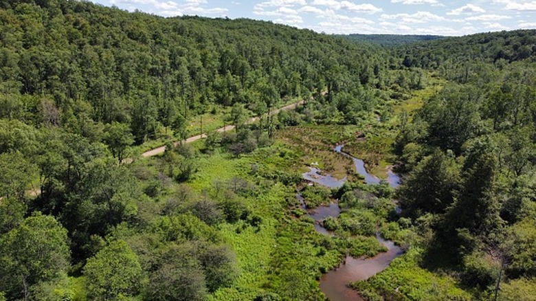 Mountain view trail in western Alleghenies forested area
