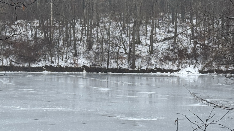 A frozen Belmont Lake at Barkcamp State Park during winter.