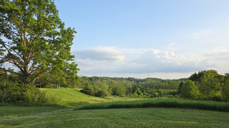 Open green field at Friendship Park