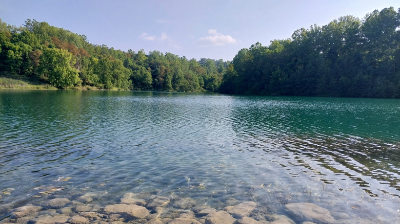Lake at Friendship Park in Ohio, with trees in the background