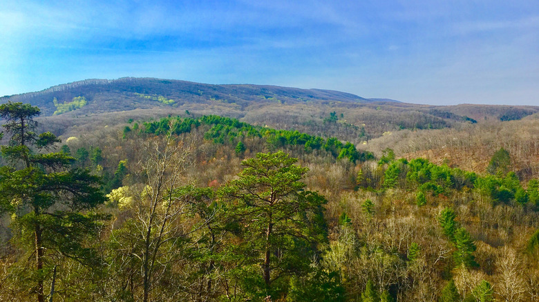 A view of forest-covered Dans Mountain in Dans Mountain State Park, Maryland