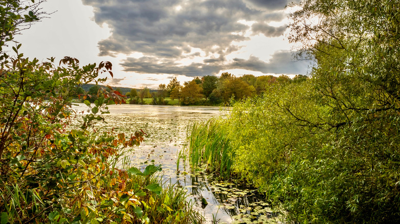 Water landscape scene in Canoe Creek State Park in Pennsylvania