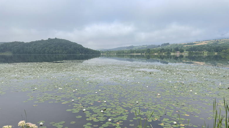 Lily pads and mountain views in Canoe Creek State Park, Pennsylvania
