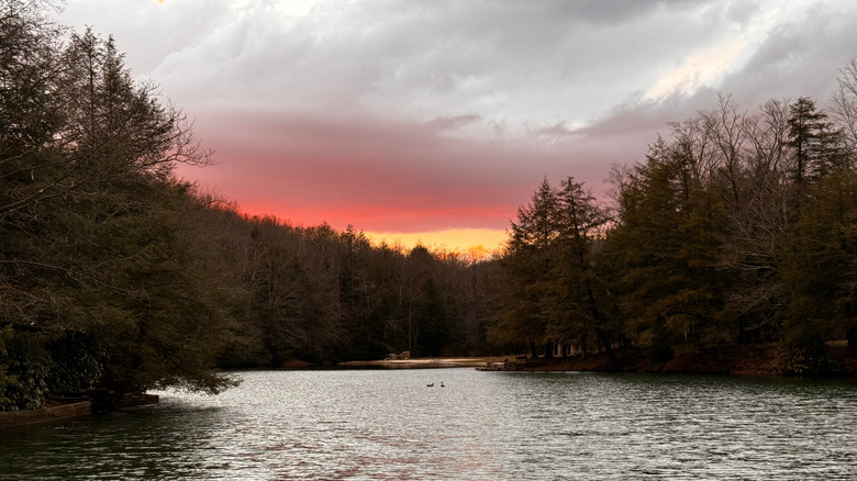 Kooser State Park lake, a rippled surface with two geese surrounded by winter trees at sunset, under a cloudy sky