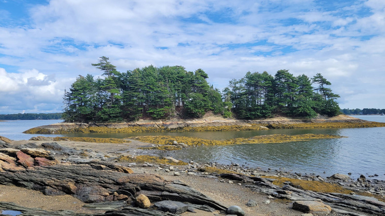 A rocky, pine-covered island in Wolfe's Neck Woods State Park on a sunny day