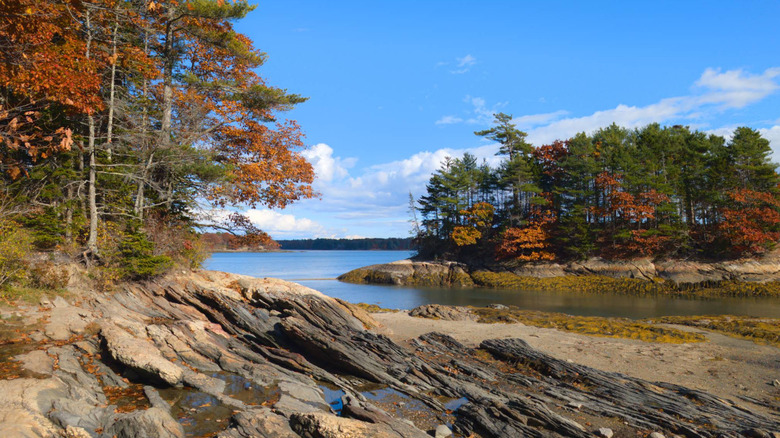 A rocky shoreline covered in red autumn trees and pines along Casco Bay in Wolfe's Neck Woods State Park, Maine