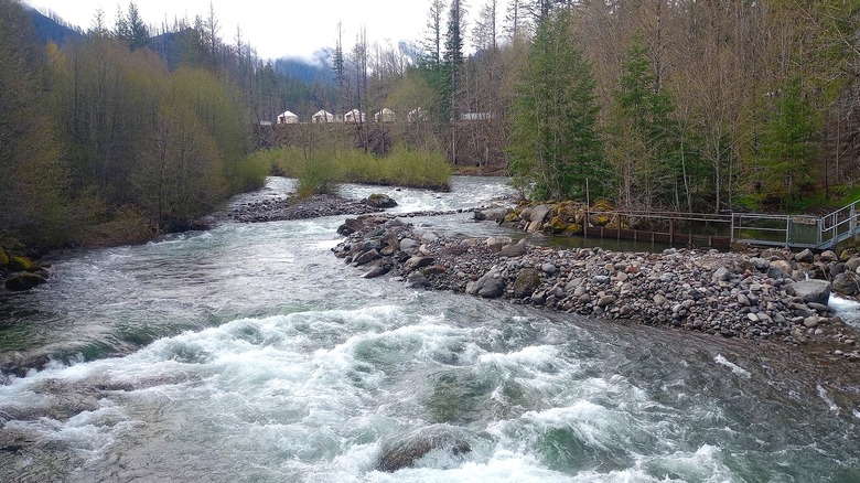 Yurts overlooking the Breitenbush River in Oregon