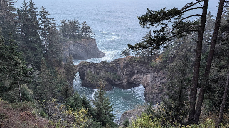 The view from Independence Street Bridge in Independence, Oregon, in spring