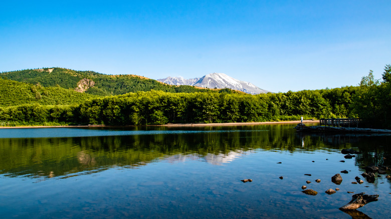 Mt. St. Helens Reflecting off Coldwater Lake Shore in Washington