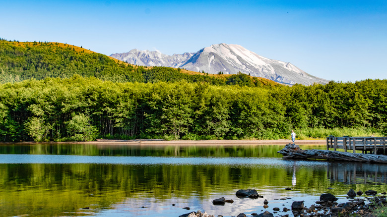 Forest and Mt. St. Helens volcanic mountain reflecting off blue waters of Coldwater Lake in Washington