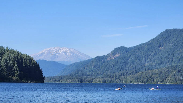 Yale Lake on clear day with paddlers kayaking towards the imposing rise of Mount St. Helens