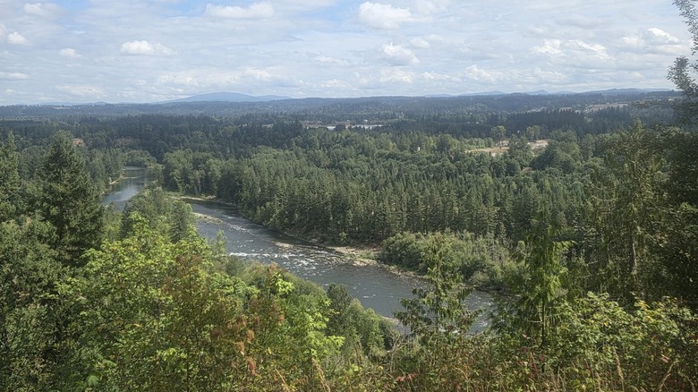 Area along the Clackamas River near Estacada, Oregon