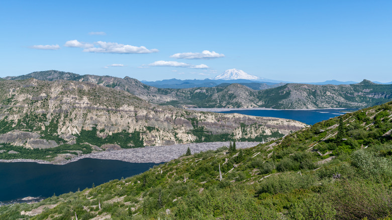 Lush green forest under blue sky with mountains in background and a blue lake