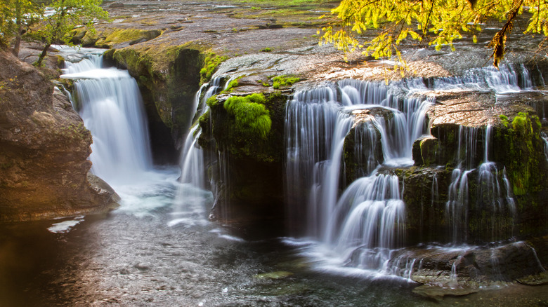 Lewis River Falls in Washington