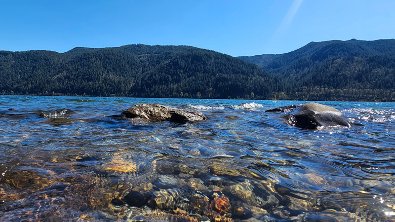 Springtime view of Yale Lake in Washington