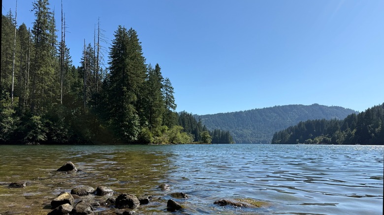 Lake Merwin, surrounded by trees and mountains, on a sunny day