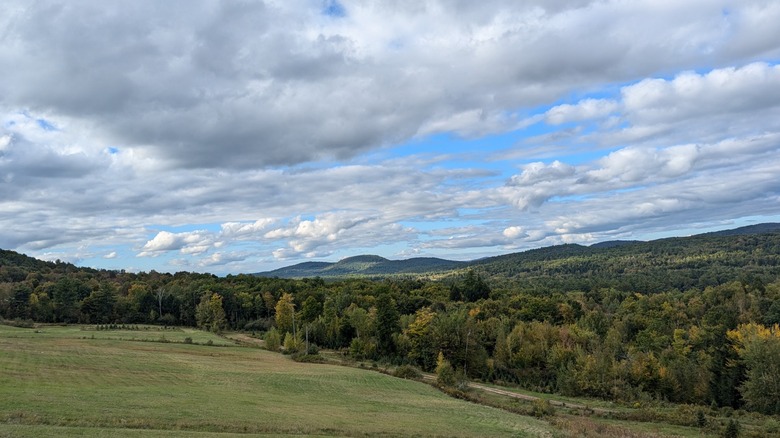 Sloping fields, hilly forest, and a cloudy sky at Sokokis Lookout near Limerick, Maine