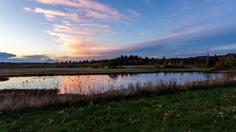 Sunset over the Tualatin River National Wildlife Refuge