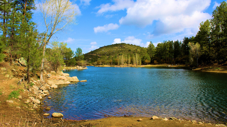 Pine and deciduous trees surrounding Goldwater Lake in Prescott, Arizona