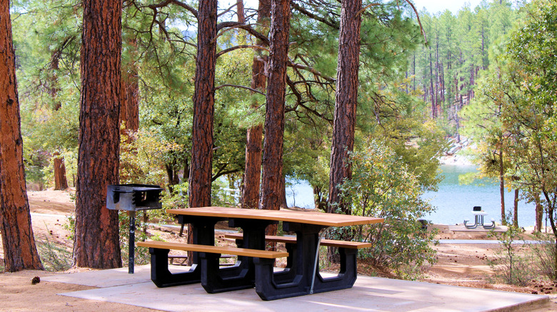 Picnic site near Goldwater Lake in Prescott, Arizona