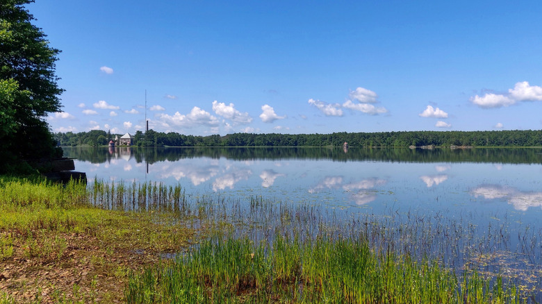 Clouds reflecting in the still water of Assawompset Pond which is surrounded by lush foliage on a bright day in Lakeville, MA