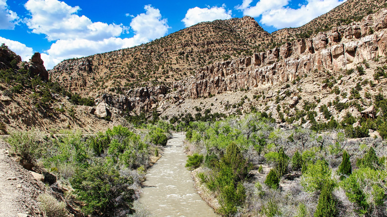 Spring at Ferron Creek in Ferron Canyon near Millsite State Park in Utah