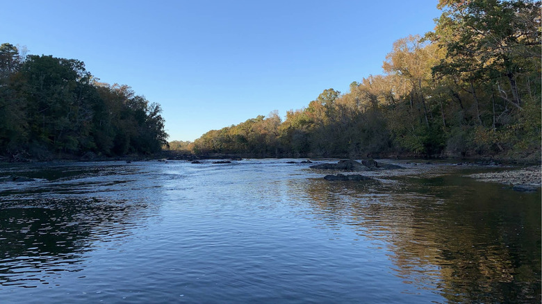 A shallow portion of the Cape Fear River surrounded by woods against a bright, clear sky in Cape Fear River Trail Park in Erwin, NC