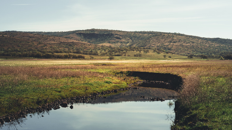 Creek running through fields with hills in the background in Tehama County, near Los Molinos, California