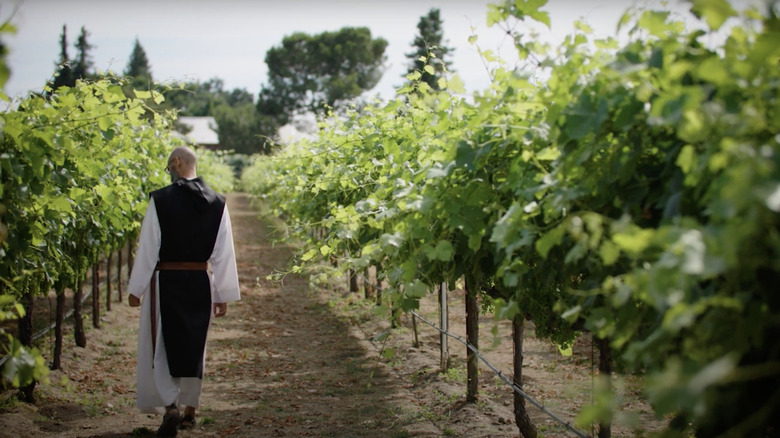 Monk walking between rows in a vineyard at New Clairvaux Monastery