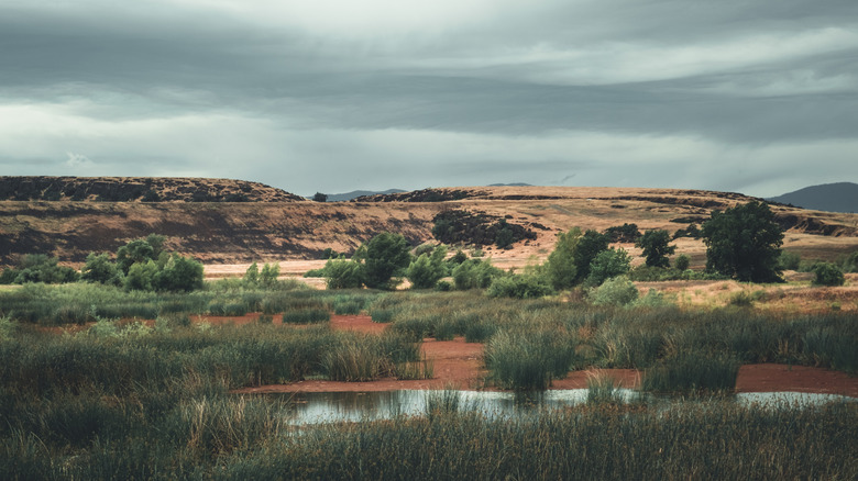 picture of Black Butte Recreation Area outside of Orland, CA