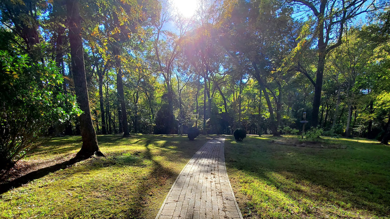Forested trails in Occoneechee State Park, Virginia